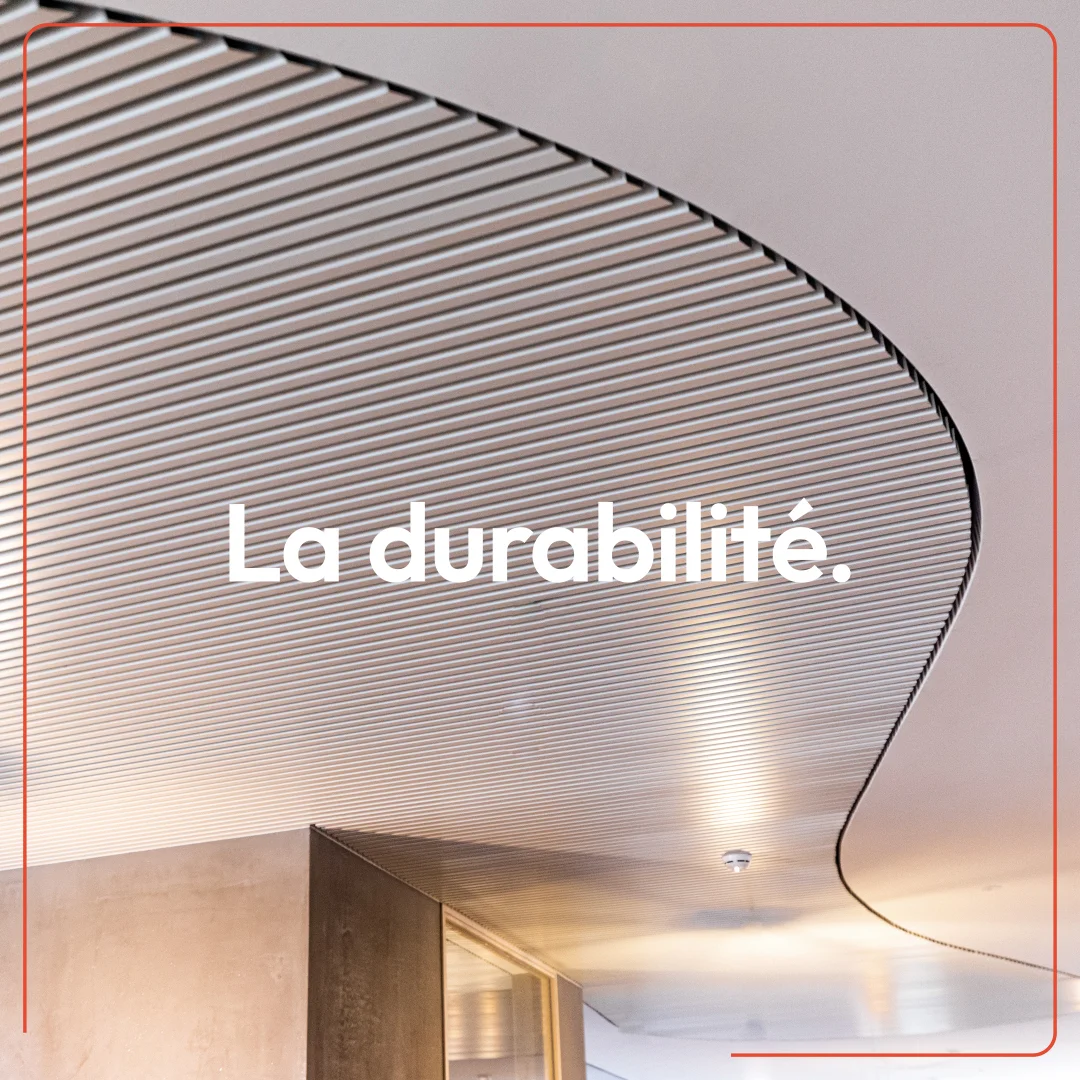 delbrassine_socials_04-copie