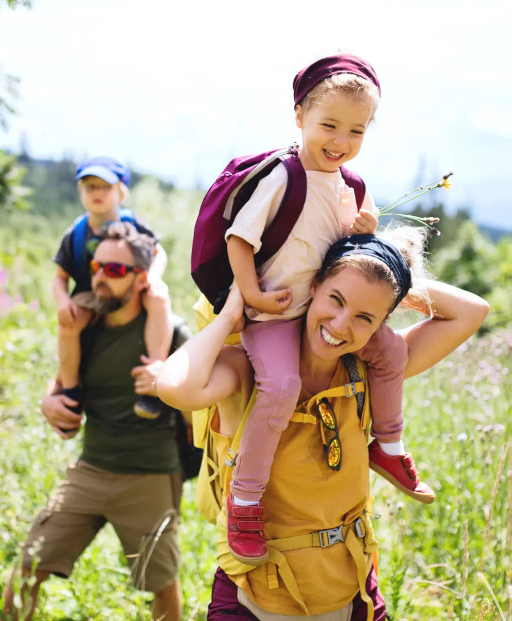 Les Vallons – Image à la une